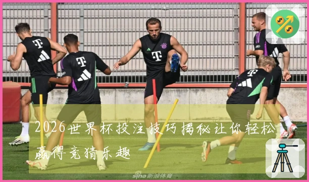 2026世界杯投注技巧揭秘让你轻松赢得竞猜乐趣