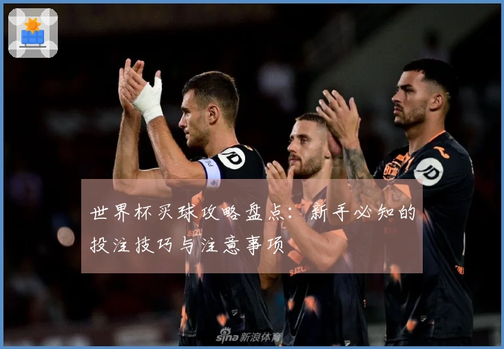 世界杯买球攻略盘点：新手必知的投注技巧与注意事项