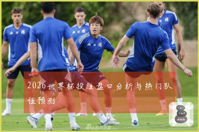 2026世界杯投注盘口分析与热门队伍预测